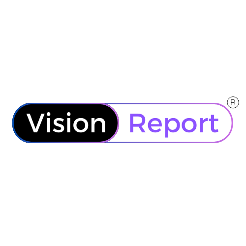 Vision Report Logo
